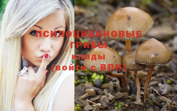 МДПВ Горняк