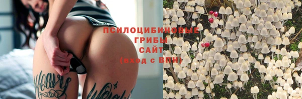 МДПВ Горняк